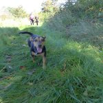 Marche Gourmande 2023